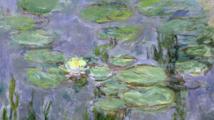 MONET